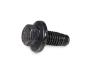 View Flange screw Full-Sized Product Image 1 of 10